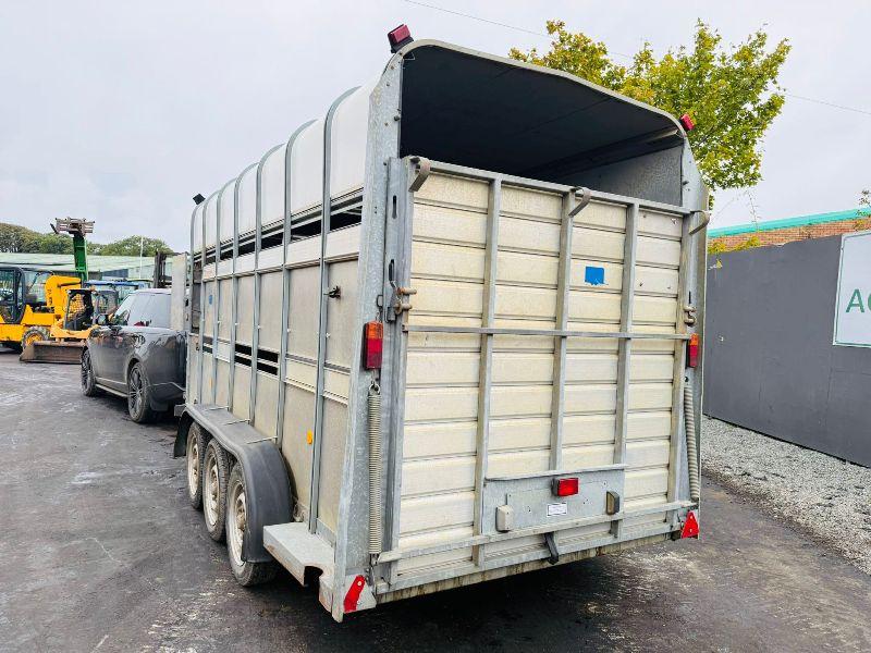 IFOR WILLIAMS TRI AXLE 14FT X 7FT CATTLE TRAILER*C/W 2 PARTITIONS*VIDEO*