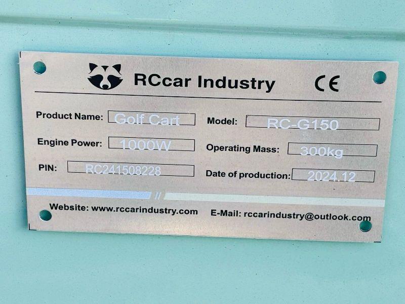 *NEW UNUSED*RACOON RC-G150 ELECTRIC CAR*CHOICE OF 2*VIDEO*