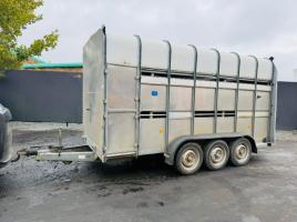 IFOR WILLIAMS TRI AXLE 14FT X 7FT CATTLE TRAILER*C/W 2 PARTITIONS*VIDEO*