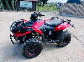 QUADZILLA 300CC 4X4 QUAD BIKE C/W AUTOMATIC GEAR BOX *VIDEO*