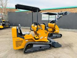 NEW*NEWRICK ZW480 PEDESTRIAN LOADER*C/W BUCKET*2025*CHOICE OF 2*VIDEO*