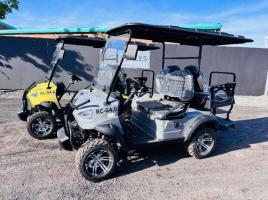 *NEW UNUSED*RACCOON RC-G4.0 ELECTRIC GOLF CART*CHOICE OF 4*VIDEO*
