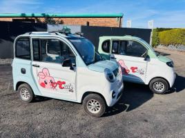 *NEW UNUSED*RACOON RC-G150 ELECTRIC CAR*CHOICE OF 2*VIDEO*