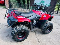 QUADZILLA 300CC 4X4 QUAD BIKE C/W AUTOMATIC GEAR BOX *VIDEO*