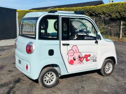 *NEW UNUSED*RACOON RC-G150 ELECTRIC CAR*CHOICE OF 2*VIDEO*