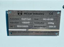 *NEW UNUSED*RACOON RC-G150 ELECTRIC CAR*CHOICE OF 2*VIDEO*