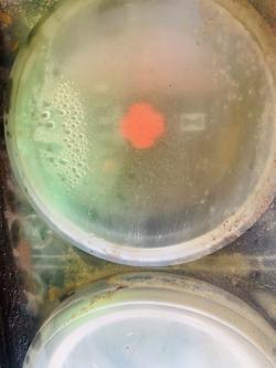 ATLAS COPCO XAS37 TOWABLE AIRCOMPRESSOR*1804 HOURS*VIDEO*