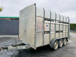 IFOR WILLIAMS TRI AXLE 14FT X 7FT CATTLE TRAILER*C/W 2 PARTITIONS*VIDEO*