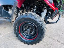 QUADZILLA 300CC 4X4 QUAD BIKE C/W AUTOMATIC GEAR BOX *VIDEO*